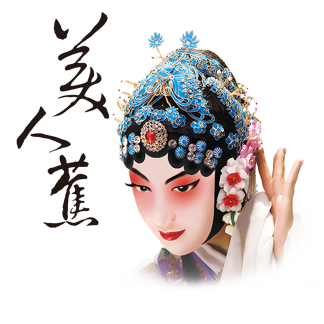 山东鲁胶阿胶集团股份有限公司-美人蕉阿胶包装设计