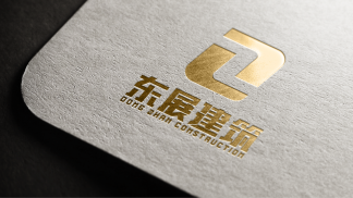 山东东展建设集团有限公司-品牌设计