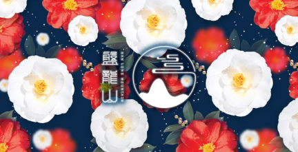 盘龙山花朵茶-品牌设计